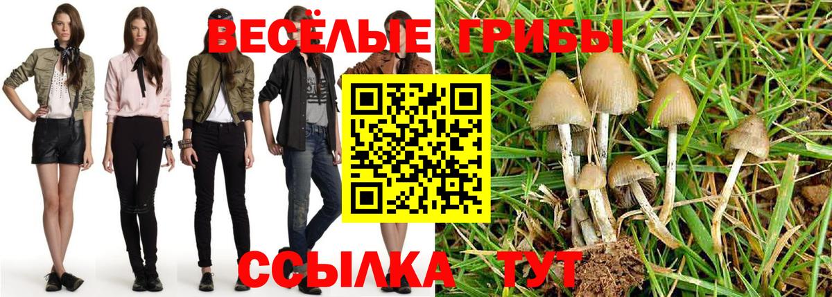 Галлюциногенные грибы Magic Shrooms Ефремов